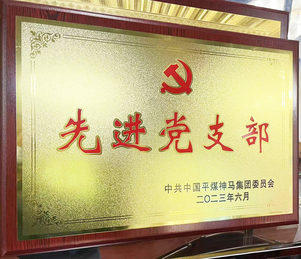 荣誉展示